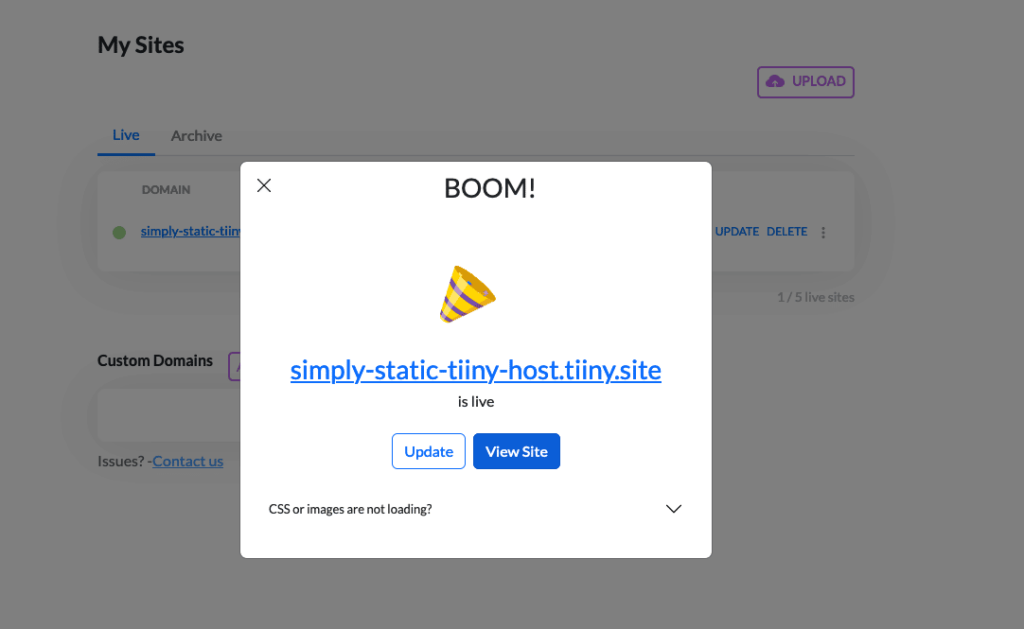 Zip file hosting on Tiiny.host with Simply Static 6